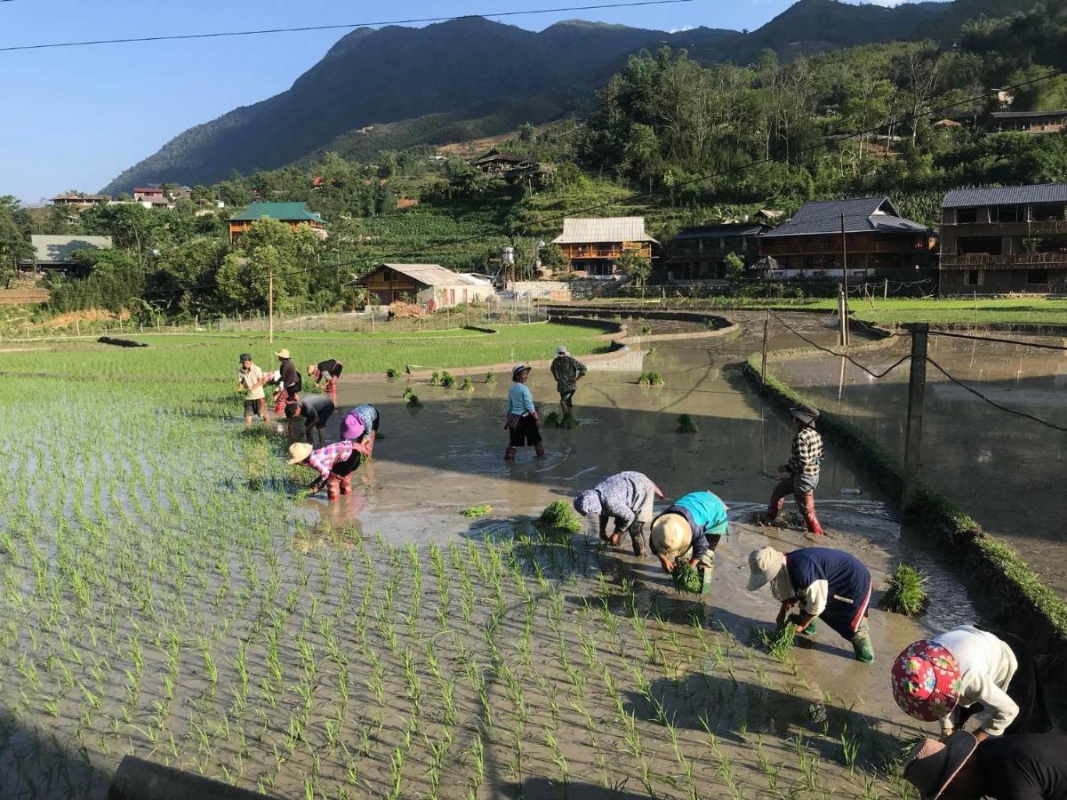 Little Ta Van Homestay Sapa Exterior photo