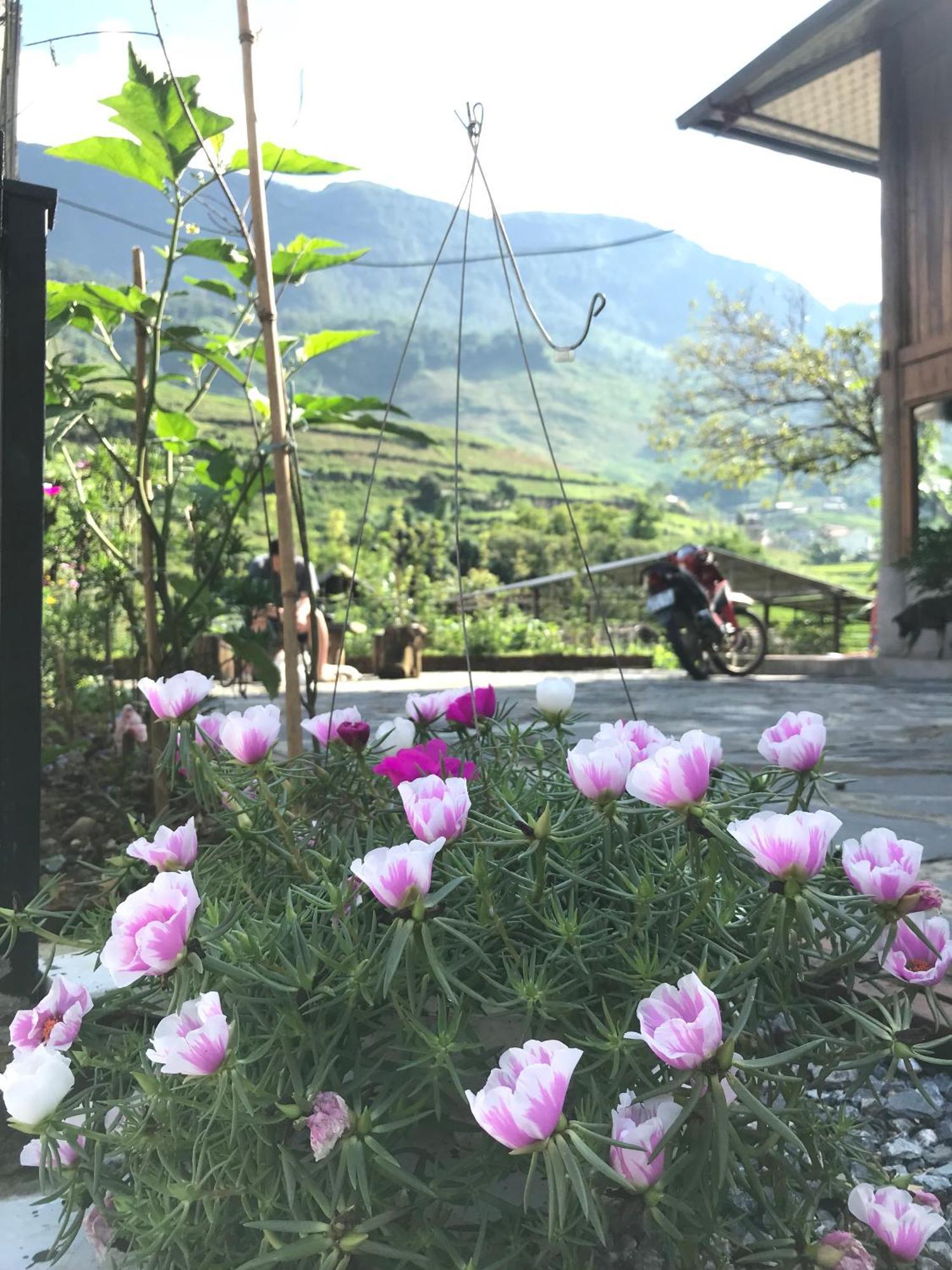 Little Ta Van Homestay Sapa Exterior photo